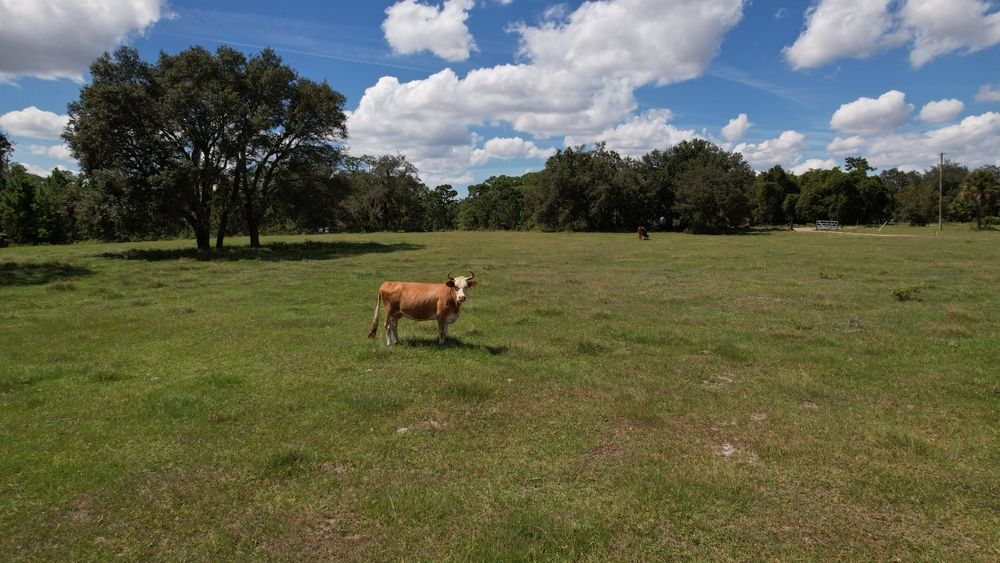 Lake Hatchineha Road Residential: 9500 Lake Hatchineha Rd, Haines City, FL 33844